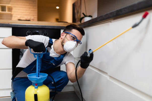Best Best Pest Control Companies  in South Fulton, TN