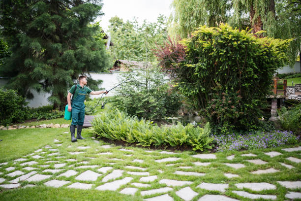 Best Affordable Pest Control Services  in South Fulton, TN