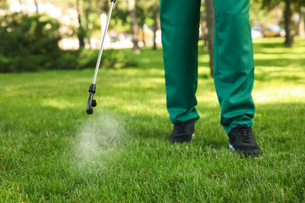 Professional Pest Control in South Fulton, TN