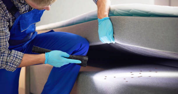 Best Residential Pest Control  in South Fulton, TN