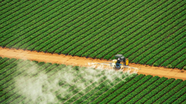 Best Commercial Pest Control Services  in South Fulton, TN