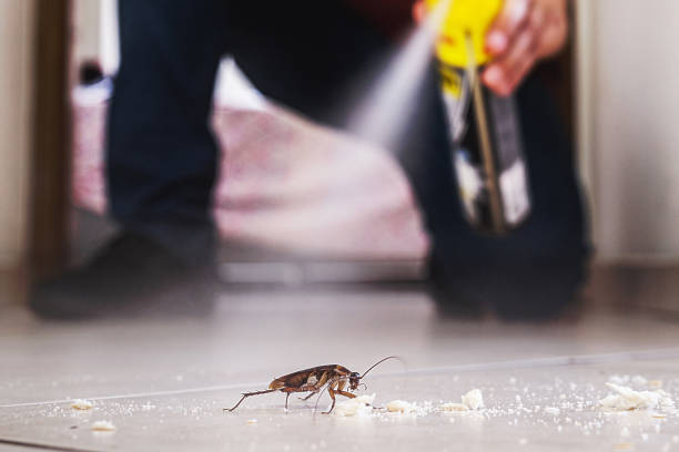 Pest Control for Restaurants in South Fulton, TN