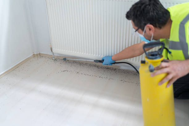 Best Exterminator Services  in South Fulton, TN
